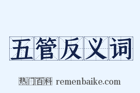 五管反义词是什么意思的图片